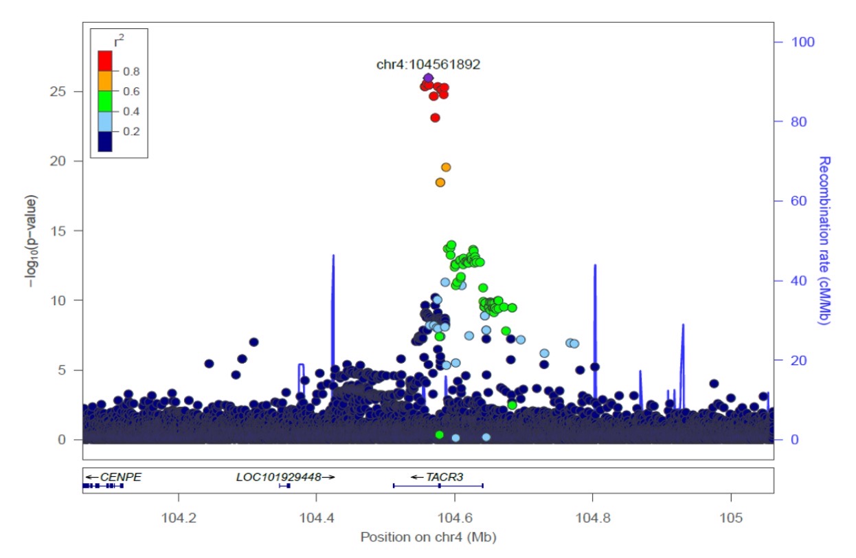<p>Blue peaks = recombination hotspots </p><p>Red dots = lead SNP</p><p>Therefore, the nearest green is TACR3</p>