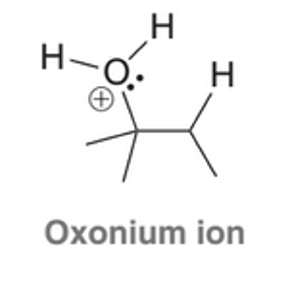 <p>A molecule that exhibits an oxygen atom with a positive charge</p>