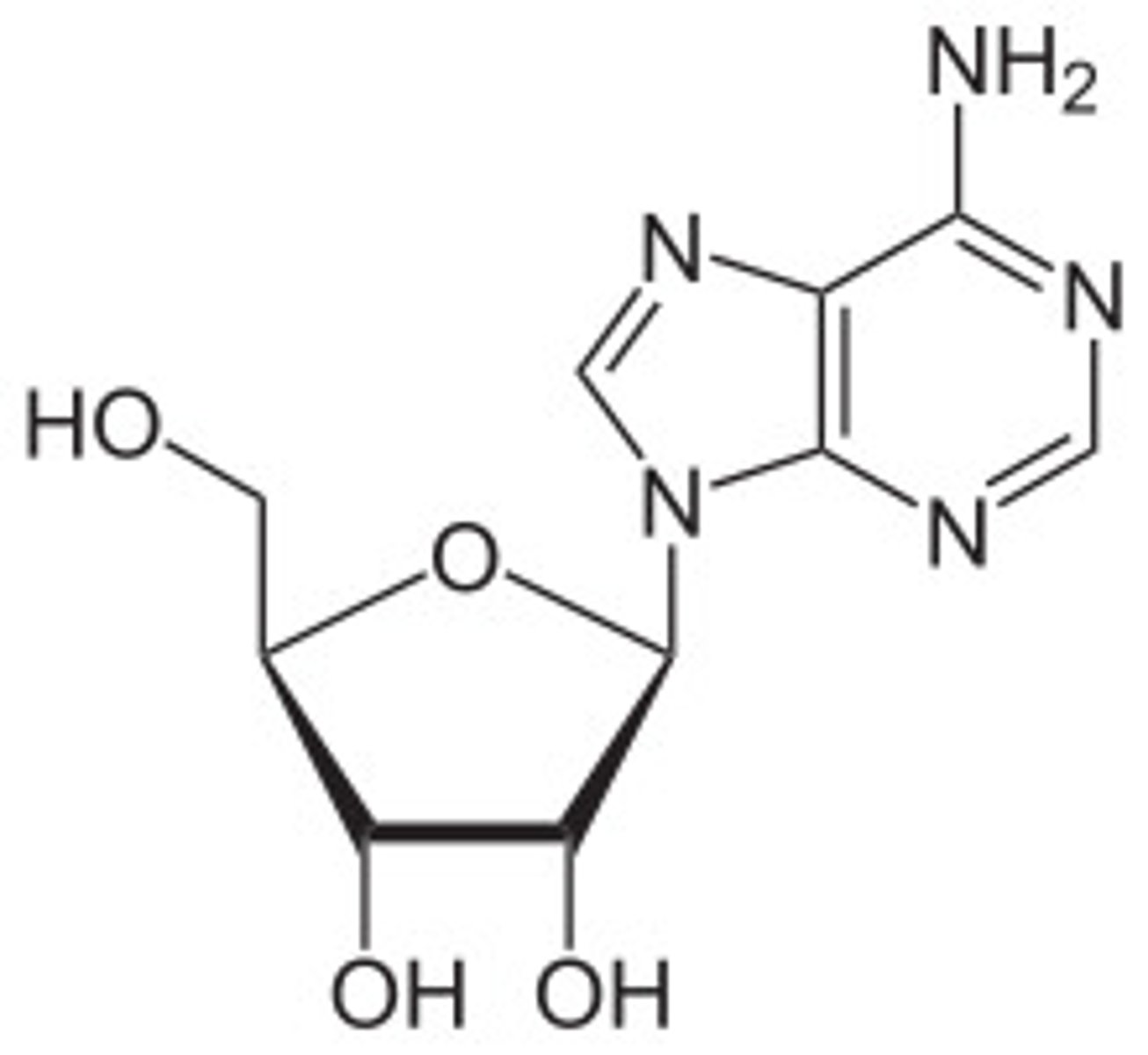 <p>Note that Adenine became Adenosine when the sugar bound to to the Nitrogenous base, so you must draw the sugar!</p>