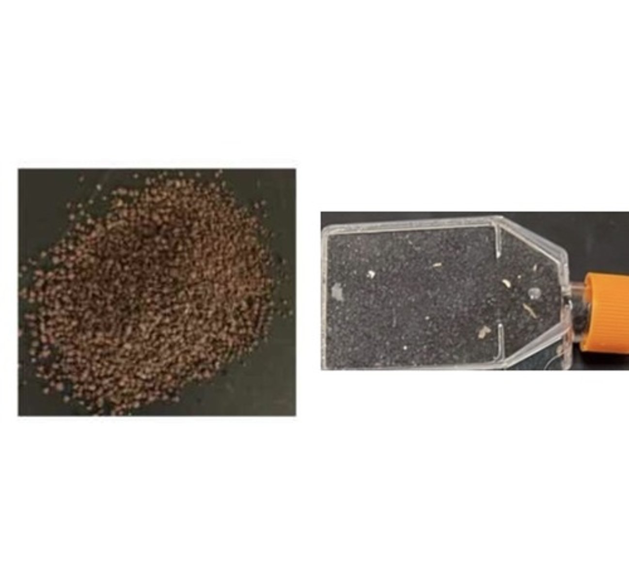<p>Protein/Nitrogen Feed</p>