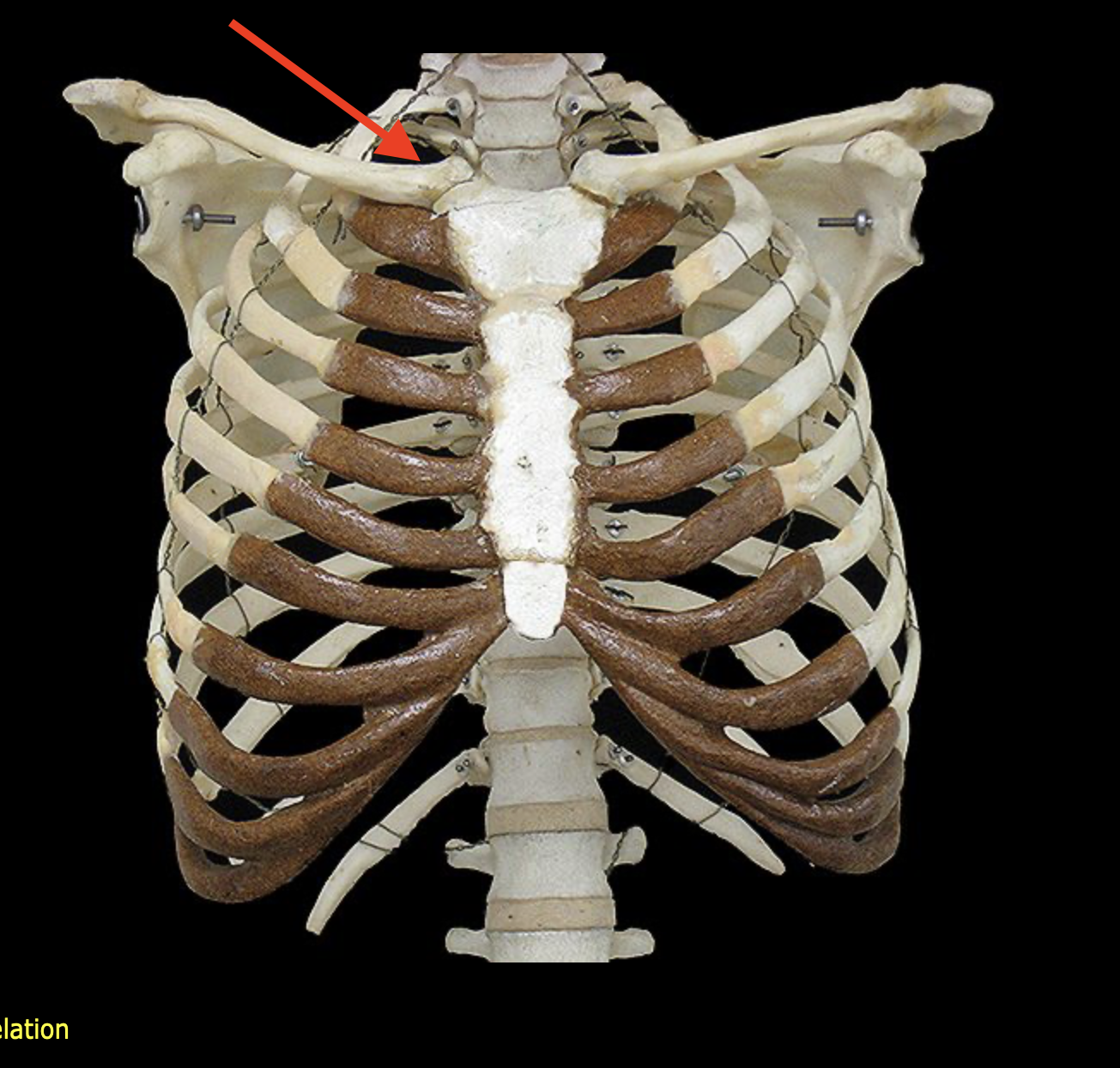 <p>What structure is this</p>