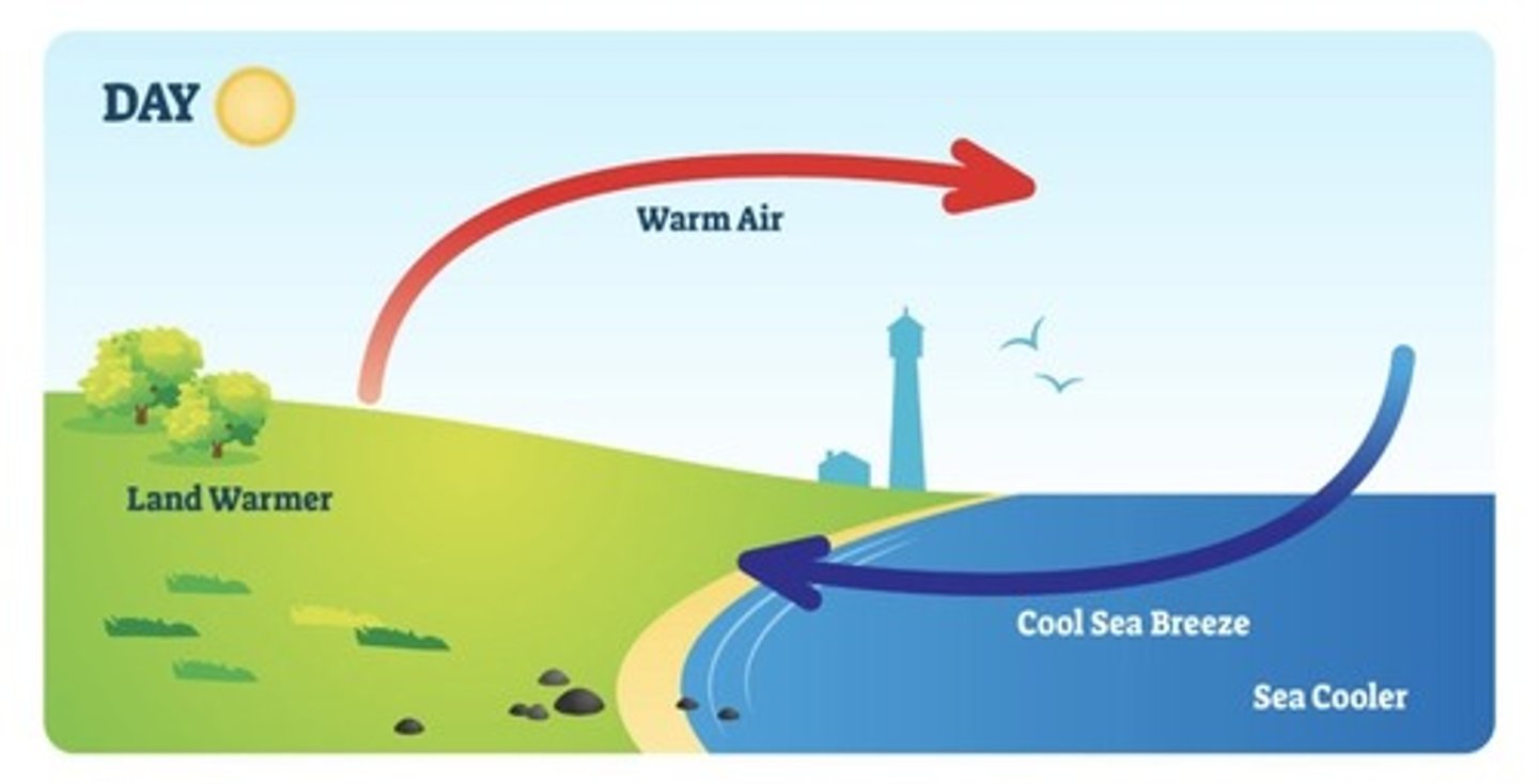 <p>Sea breezes are a cool wind that blows from the sea onto the land. It forms by the difference in pressure over the warm land and cooler water.(only occur in day)</p>