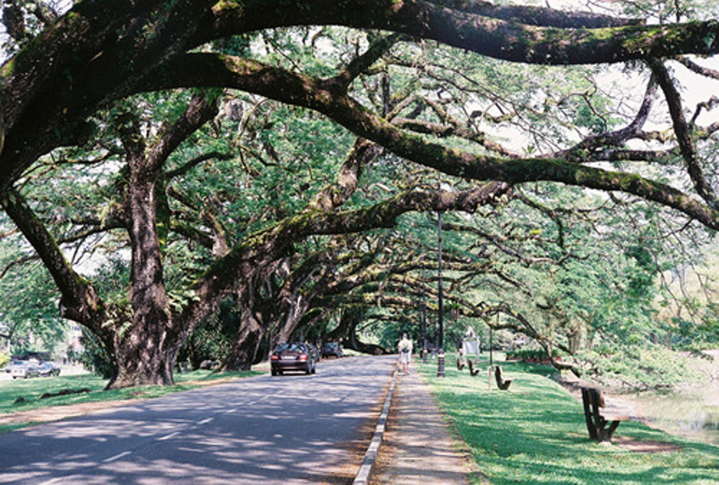 <p>road (mǎlù)</p>