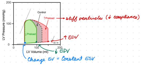 <p>Increase Preload:</p><ul><li><p>Increase EDV</p></li><li><p>Increase SV = Constant ESV</p></li></ul><p>Decrease Preload:</p><ul><li><p>From stiff ventricles (low compliance)</p></li><li><p>Decrease EDV</p></li><li><p>Decrease SV = Constant ESV</p></li></ul><p></p>