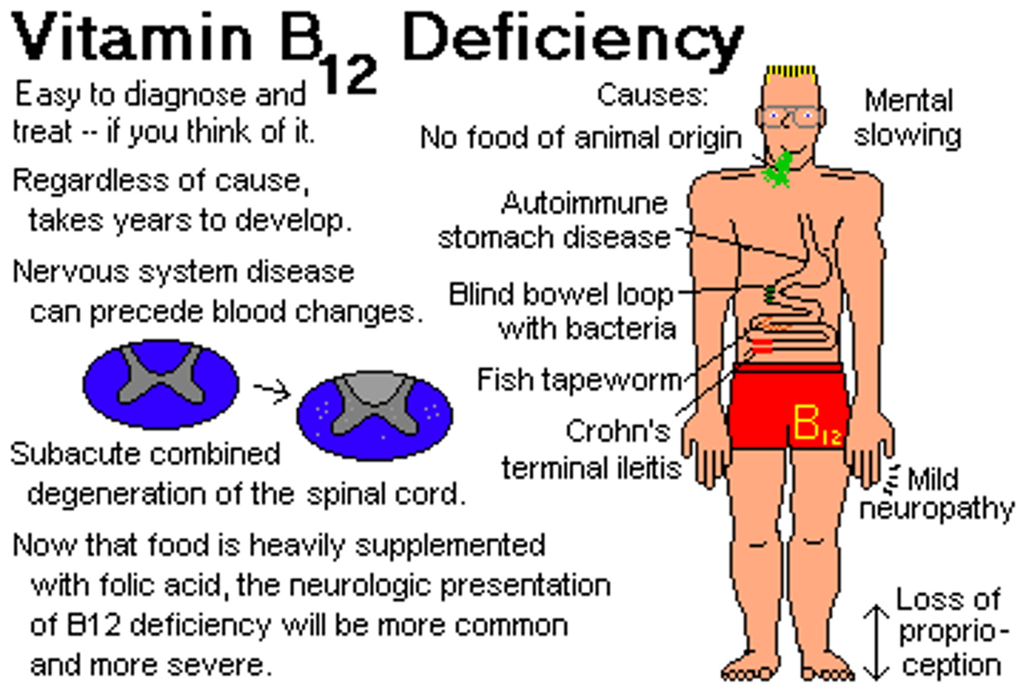 <p>Cyanocobalamin</p>