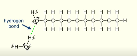 <ul><li><p>The non polar carbon chain cannot form hydrogen bonds </p></li><li><p>So as carbon chain is increases a larger part of the molecule is unable to form hydrogen bonds with water molecules </p></li></ul><p></p>