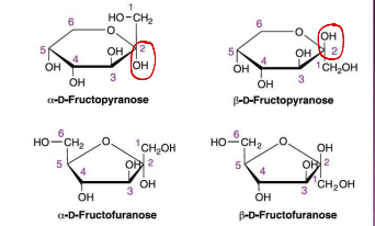 <ul><li><p>Ketose = 2nd c = 0 </p></li></ul><ul><li><p>Aldose = 1st - = 0</p></li></ul><p></p>
