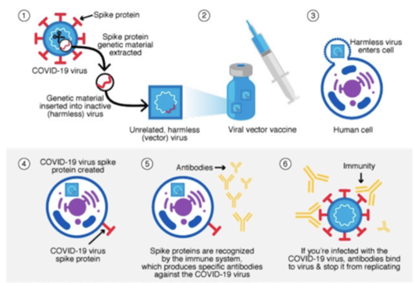 <p>Janssen/Johnson &amp; Johnson and AstraZeneca</p>