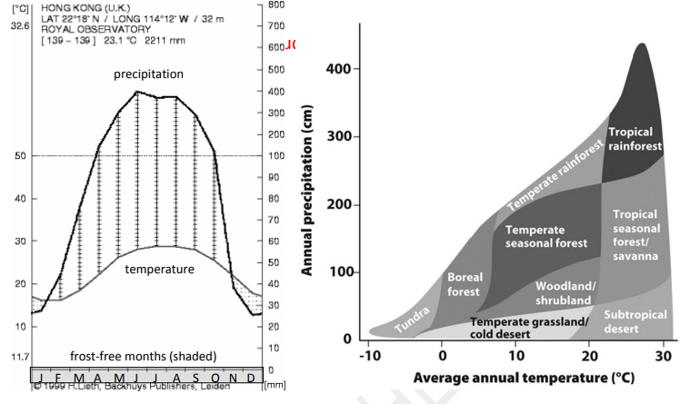 Please use the Walter diagram for Hong Kong and the Whitaker biome diagram above to answer these questions. On the Walter diagram, temperature is shown by the gray curve and precipitation by the black curve. Frost-free months are shown by the shaded box on the x-axis. The x-axis represents a year and is divided into 12 months, starting with January. Hong Kong has 23.1°C average annual temperature and 2211 mm average annual precipitation.

According to the relevant data and the Whitaker diagram only, which biome is Hong Kong in? 

A. Temperate grassland 

B. Woodland/ shrubland 

C. Temperate seasonal forest 

D. Tropical seasonal forest/ savanna 

E. Tropical rainforest