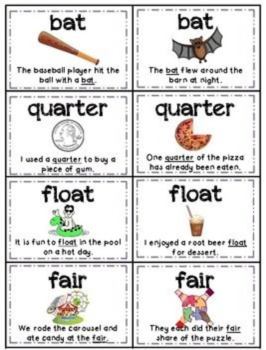 <p>a word written the same way as another word but having a different meaning</p>