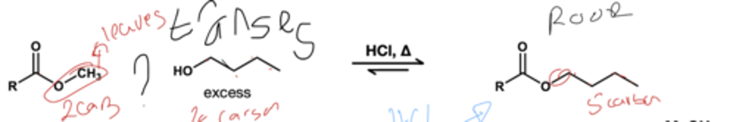 <p>ROH(xs)/ HCl, heat</p>