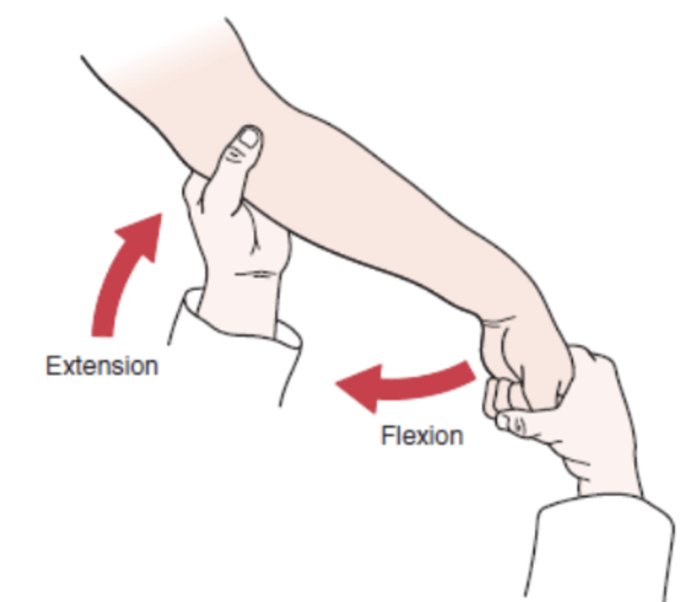 <p>- lateral epicondylopathy</p><p>- extensor carpi radialis brevis</p><p>- description: while palpating lateral epicondyle, examiner passively pronates the pt's forearm, flexes the wrist fully and extends the elbow.</p><p>(+): pain over lateral epicondyle of humerus</p>