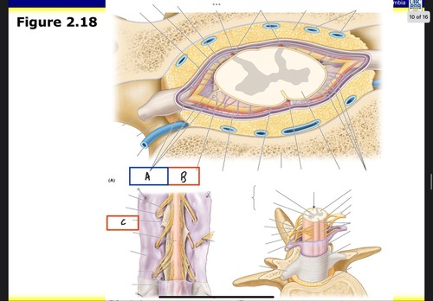 <p>What is C?</p>