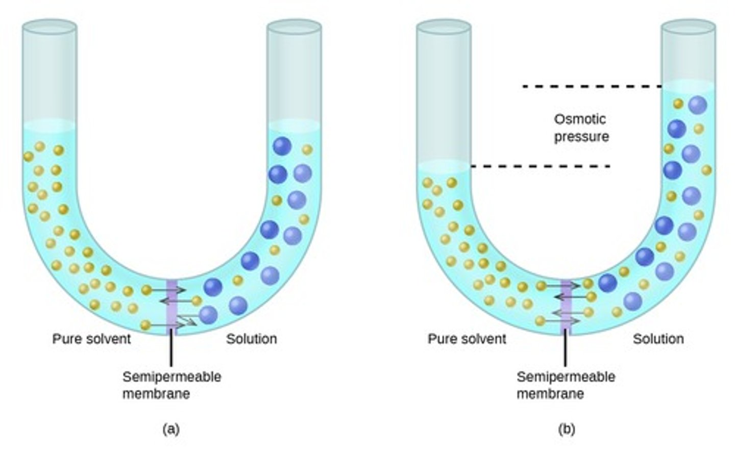 <p>True. Osmotic Pressure (the driving force behind Osmosis) is a Colligative Property, so Osmosis only depends upon how many solutes there are, not what those solutes are.</p>