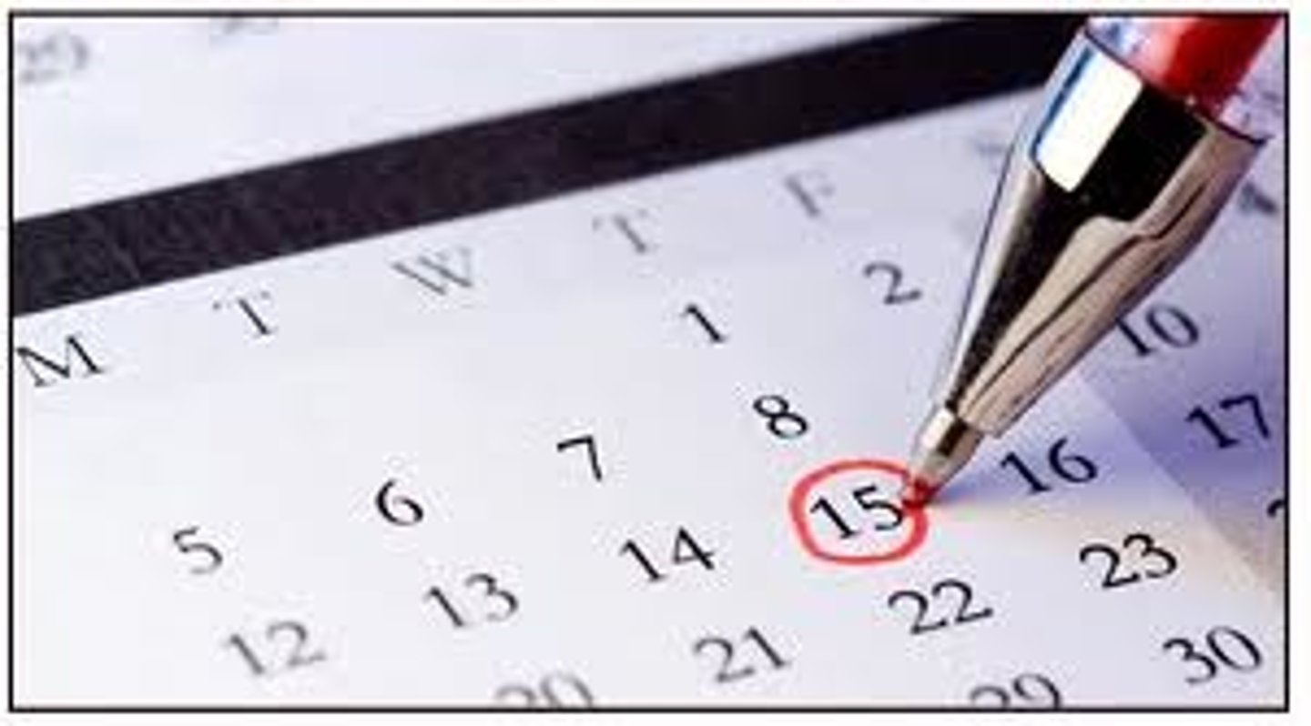 <p>to have plans</p>