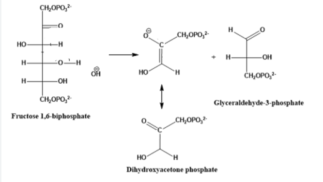 <p>show the mechanism for cleavage of 1,3 bisphosphate</p>