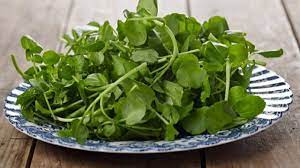 <p>watercress (cải xoong)</p>