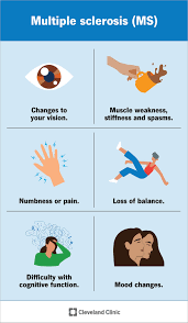 <p><strong>The nurse should anticipate she will need to teach the newly diagnosed multiple sclerosis patient how to give injections if he is prescribed which medication to modify the course of the disease by reducing exacerbations?</strong></p><p>A) Corticosteroids</p><p>B) Plasmapheresis</p><p>C) Interferon beta</p><p>D) Mitoxantrone</p>