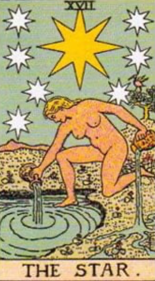 <p>The Star</p>