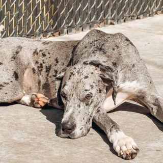 <p>Conner Dugger</p>