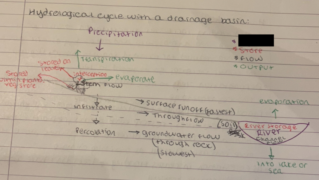<p>what does the purple represent</p>