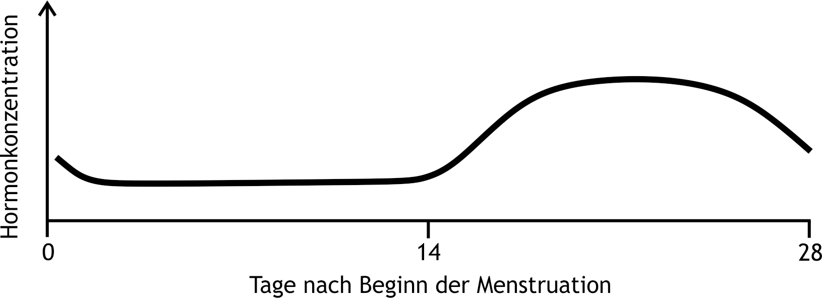 <p>55. The figure shows, with linearly scaled axes, a schematic representation of the concentration curve of a hormone during a menstrual cycle (with ovulation, without nidation).</p><p>Which hormone is it most likely?</p><p>A. Estradiol</p><p>B. FSH</p><p>C. Inhibin B</p><p>D. LH</p><p>E. Progesterone</p>