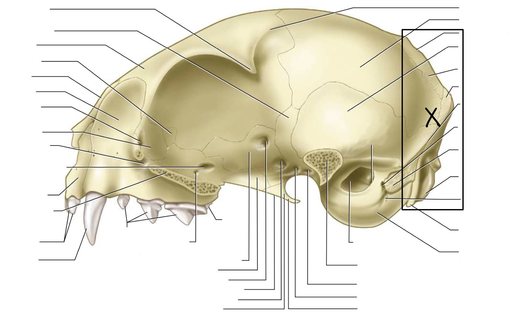 <p>What is this surface?</p>