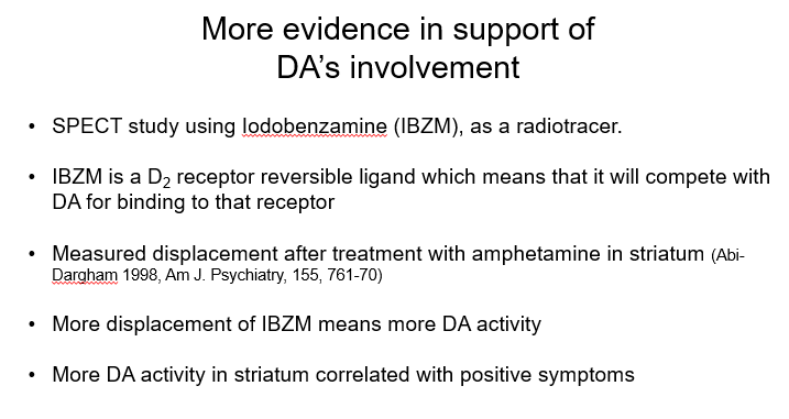 <ul><li><p><span>Proposes the schizophrenia is caused by abnormalities in DA functioning in the brain</span></p></li><li><p><span>Overactivity of DA in the mesolimbic system results in the positive symptoms of schizophrenia</span></p></li><li><p><span>Underactivity of DA in the mesocortical system results in the negative and cognitive symptoms of schizophrenia</span></p></li></ul>