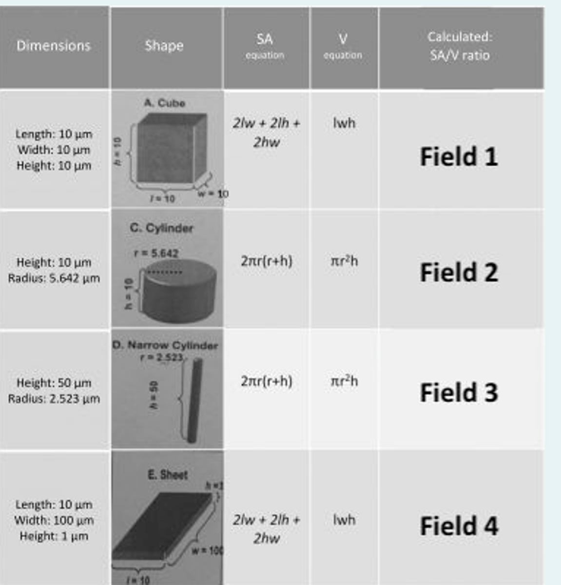 <p>Field 1 → 0.60,</p><p>Field 2 → 0.56,</p><p>Field 3 → 0.83,</p><p>Field 4 → 2.22</p>