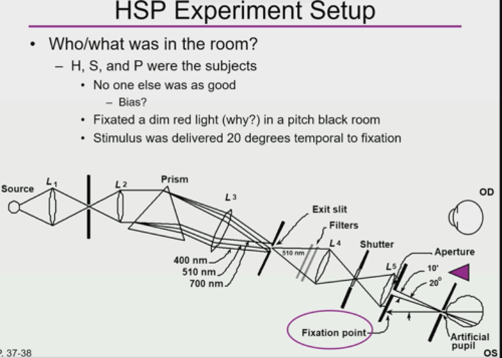 <p>H, S, &amp; P</p>