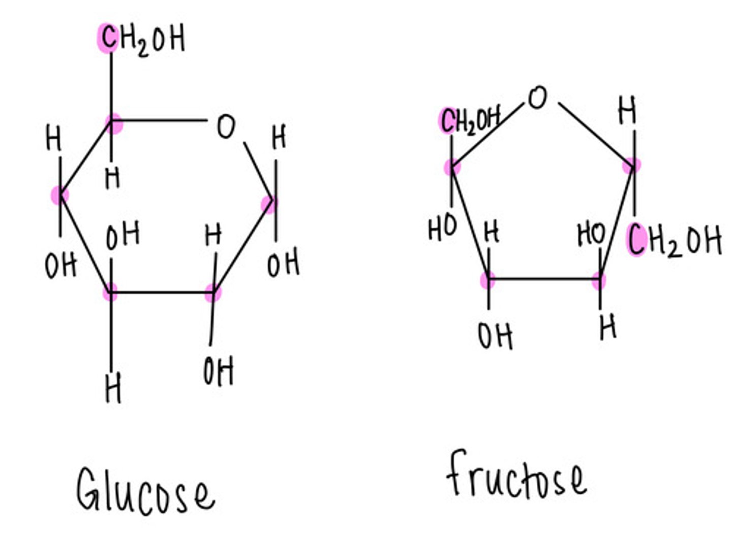 <p>hexose (six carbon)</p>