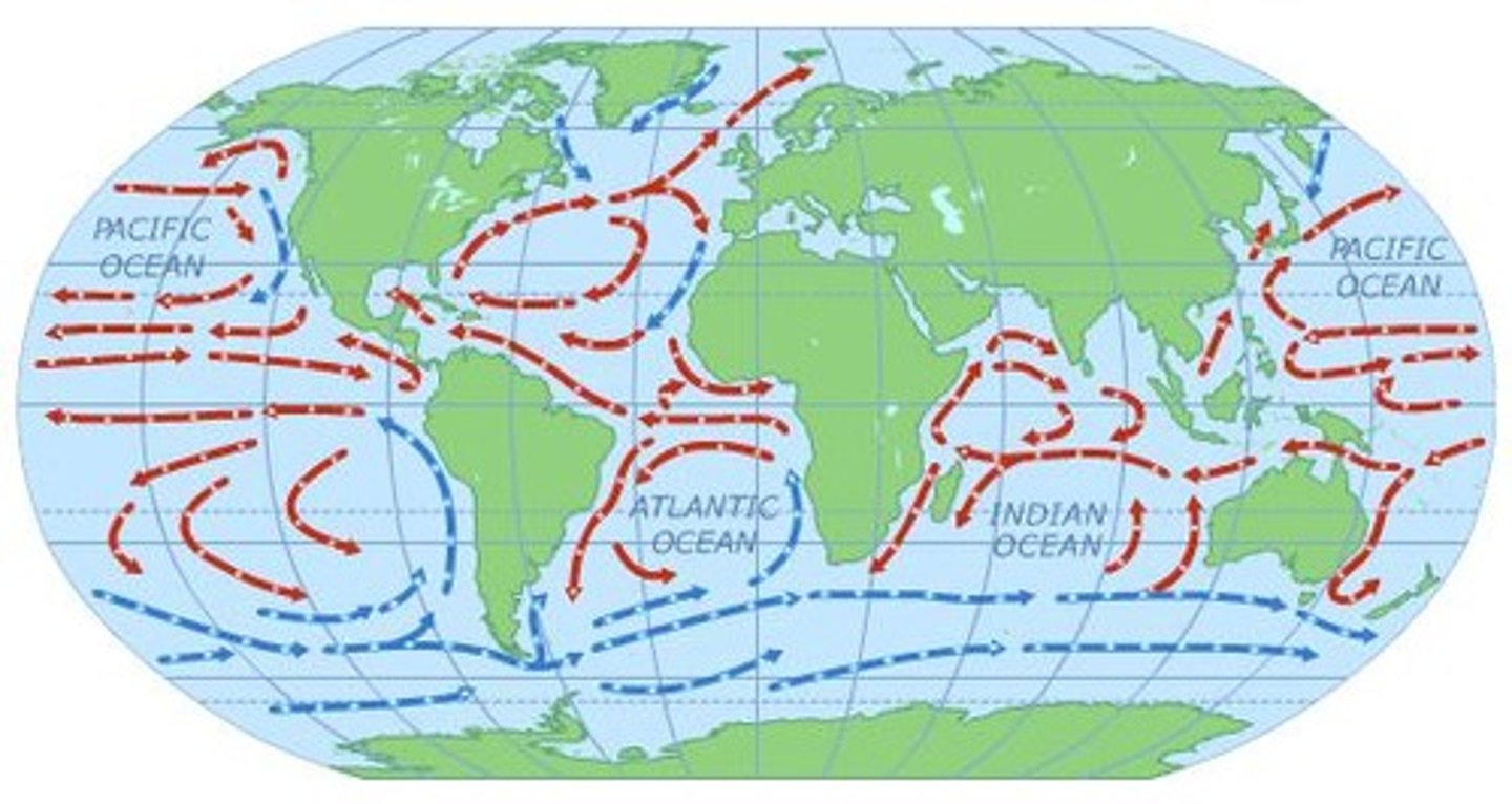 <p>The East Coast has no rain shadow effect due to lower elevation and receives warmer winds from the Gulf Stream.</p>