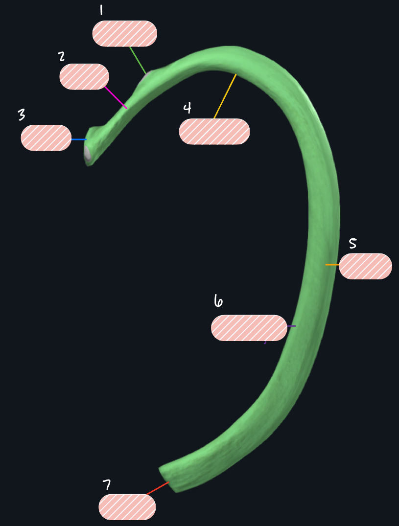 <p>Label 6</p>