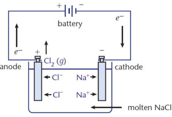 <p>house nonspontaneous reactions that require the input of energy to proceed</p><p>molten NaCl is decomposed into Cl<sub>2</sub>(g) and Na(l)</p><p>ΔG &gt; 0</p><p>E<sub>cell</sub> &lt; 0</p>
