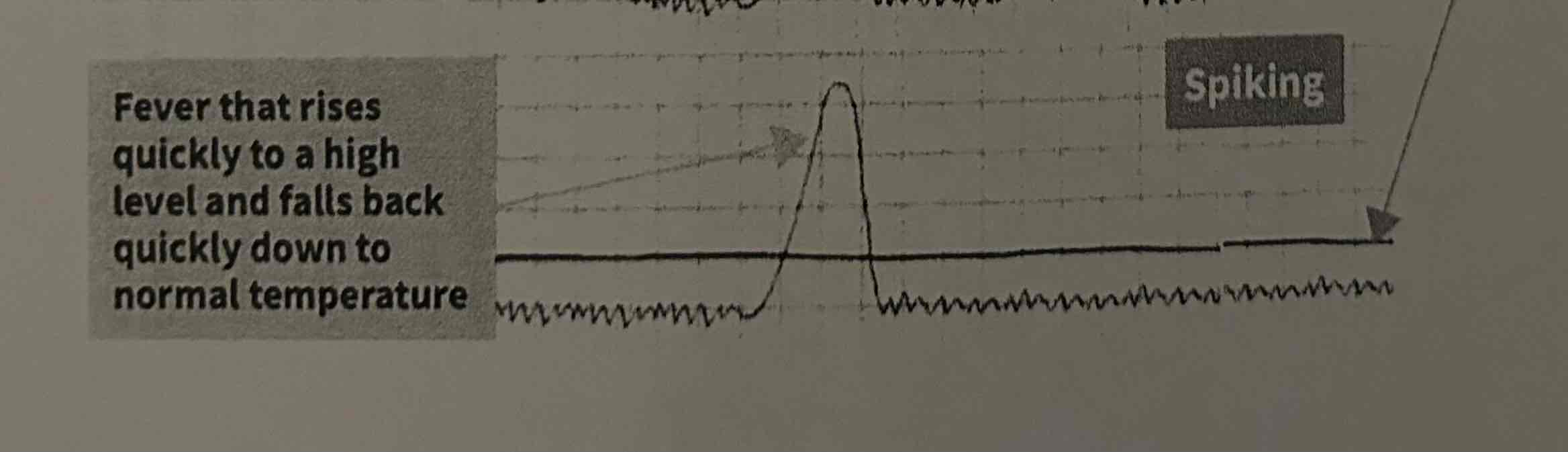 <p>Rises and falls quickly </p>