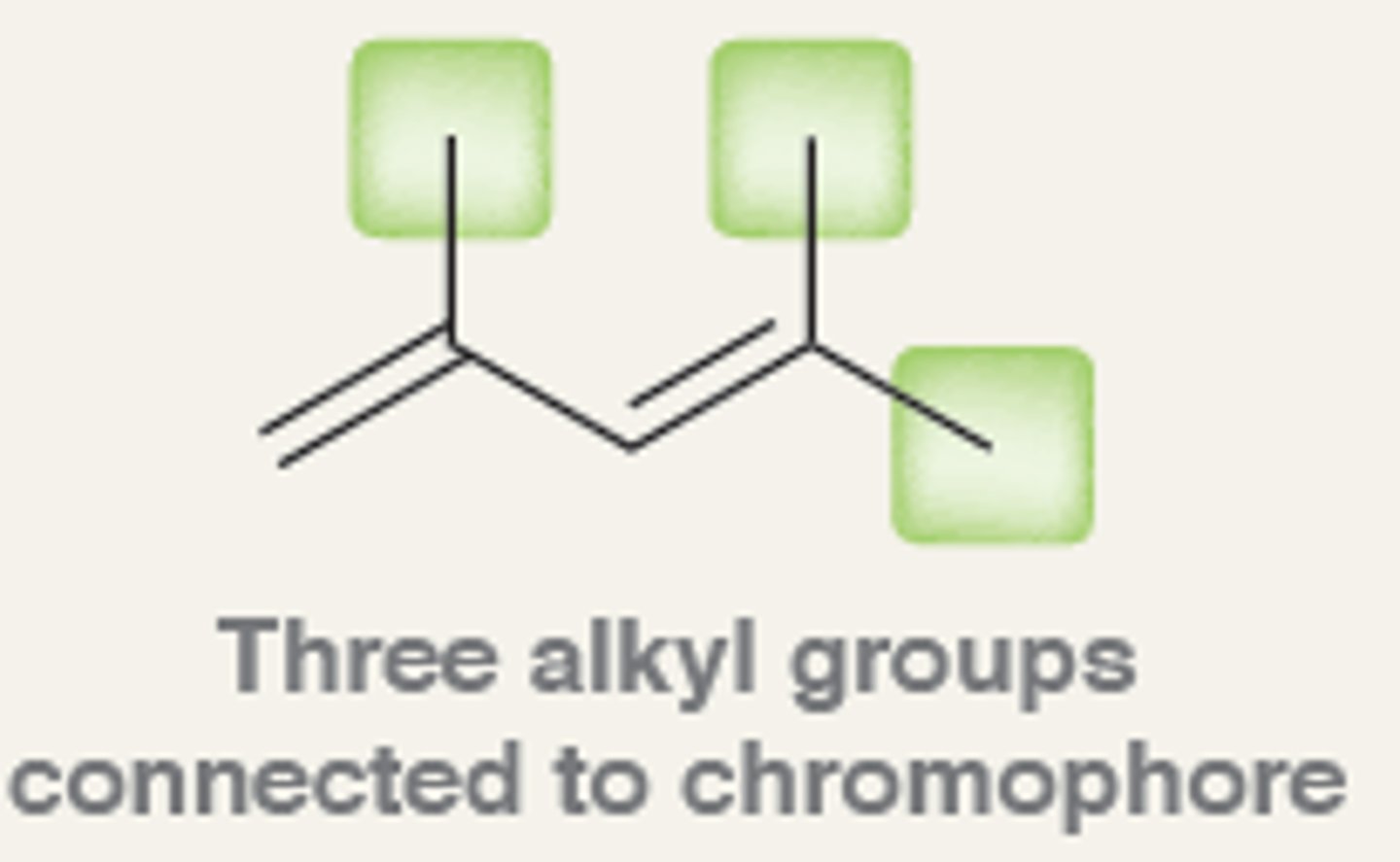<p>groups attached to the chromophore</p>