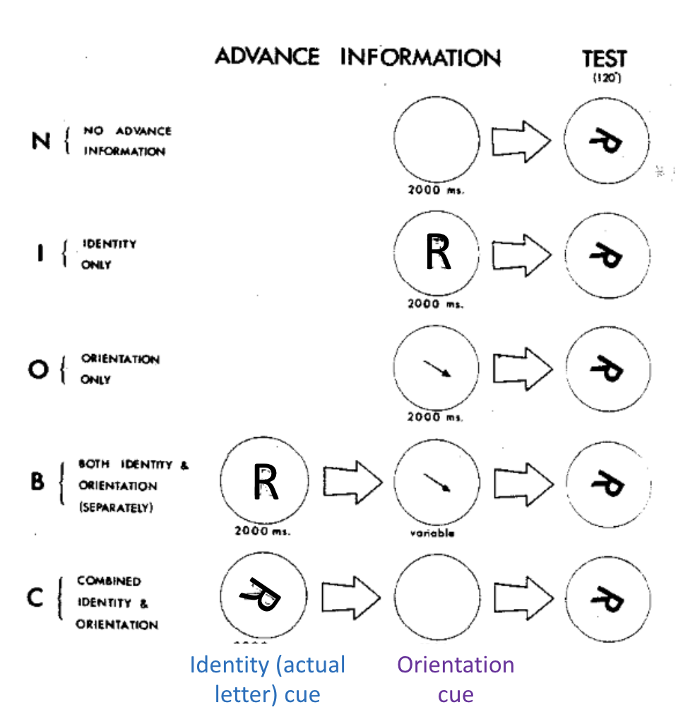 <p>Letter identification with various types of cues (conditions)</p><ul><li><p>Main task: identify whether the letter in the Testing trial is a normal letter or mirror image of the letter</p></li></ul><p></p>
