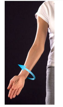 <p>Name this movement</p>