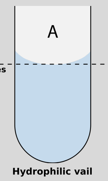 <p>“water-loving”</p>