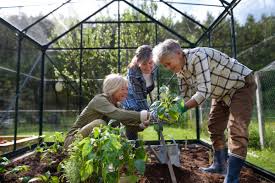 <p class="p1"><strong>Gardening is a very popular hobby in many countries. It allows you to grow your own fruit and vegetables.</strong></p>