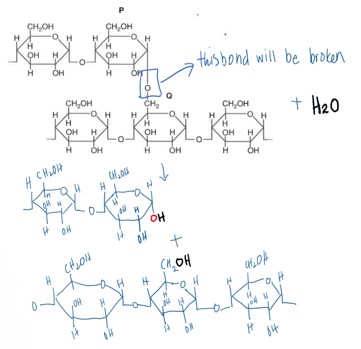 <img src="blob:null/6ed23776-87cd-46e2-b75b-afd30d7ed5db"><p></p>