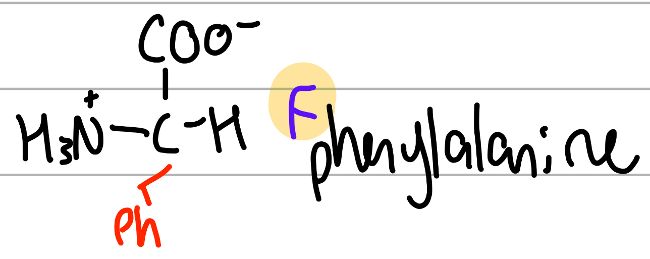 <p>-CH2Ph;</p><p>F = fenyl;</p><p>polar, uncharged, Hphobic</p>