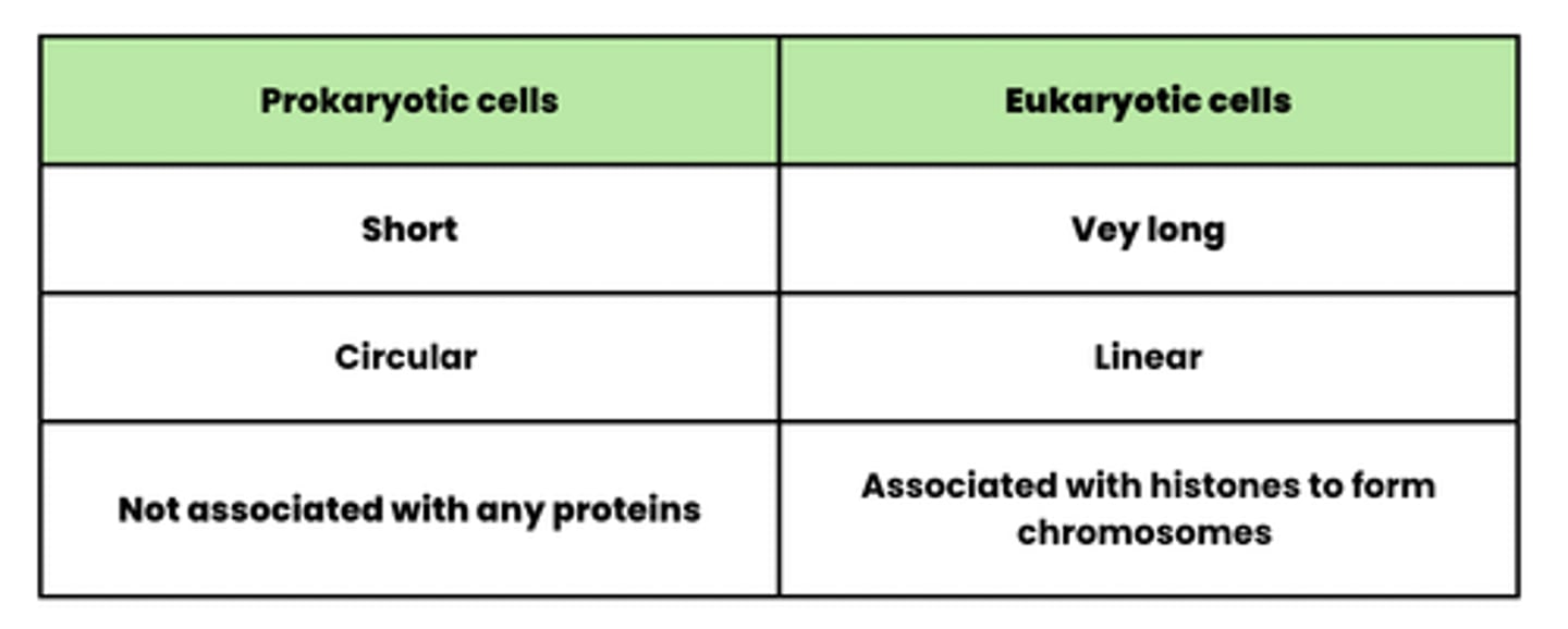 <p>Please use comparative terminology when comparing!!</p><p>NOTE: The DNA in mitochondria and chloroplasts possess similar properties to‏‏‎ ‎‏‏‎the DNA in‎‏‏‎ ‎‏‏‎‏‏prokaryotic cells</p>
