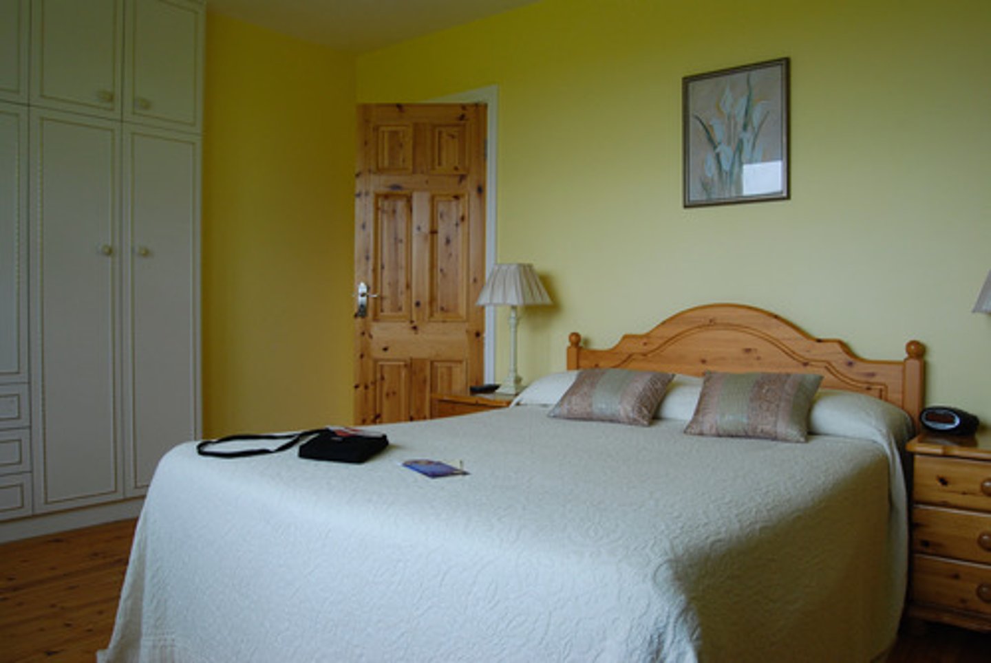 <p>Do you have a vacant room?</p>