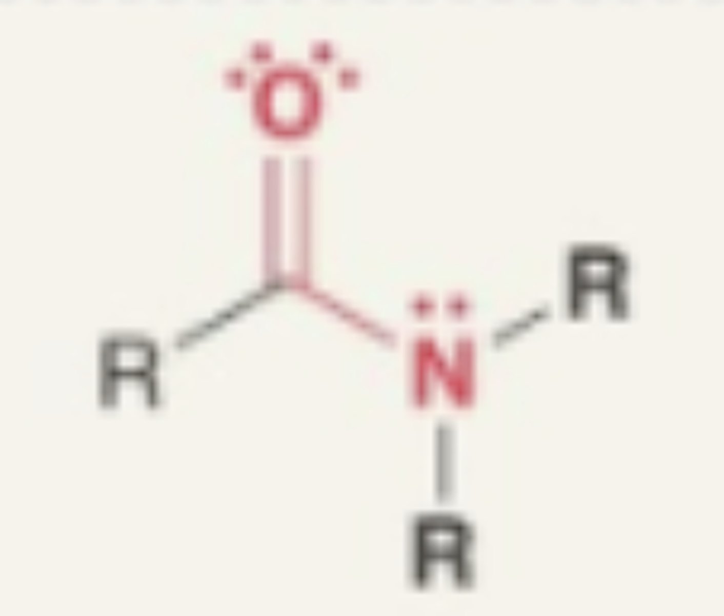 <p>- carbonyl + N</p><p>- needs to be attached to C or H</p>