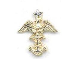 <p>Eagle and star perched on a fouled anchor</p>