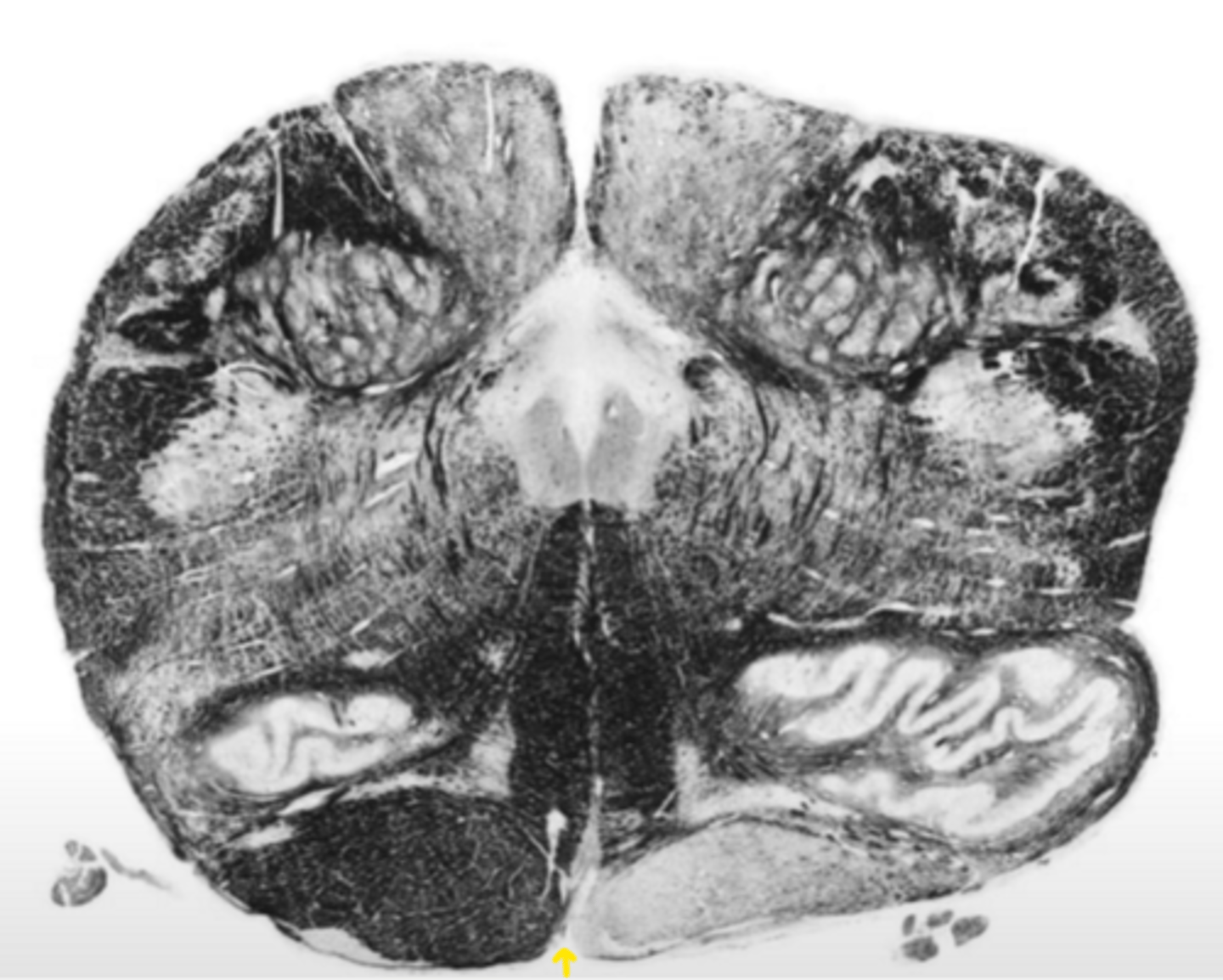 <p>ID the structure</p>