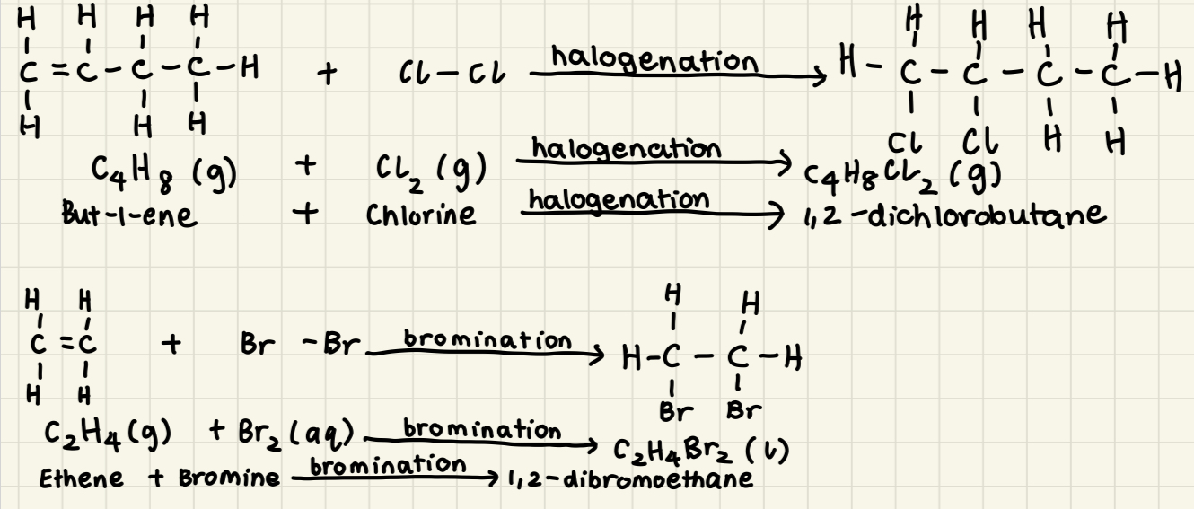 * No heat, light, or catalyst required for reaction
* Reaction uses bromine water (an aqueous solution)
* C=C double bond breaks → forms new single bonds
* Carbon atoms of original functional group are now free radicals because they have unpaired valence electrons
* Bromine’s valence electron covalently bonds to unpaired valence electrons of carbon free radicals, the bromine atoms add across to the carbon free radicals 
* Halogen atoms always add to carbon atoms across C=C double bond → addition reaction works for any halogen and any alkane
* All halogens exist as diatomic molecules 
* Alkene (g) + Halogen (g) → x,y-dihaloalkane (g)
  * E.g: But-1-ene + Chlorine → 1,2-dichlorobutane
* Alkene (g) + Bromine (aq) → x,y-dibromoalkane (l)
  * E.g: Ethene + Bromine → 1,2-dibromoethane 