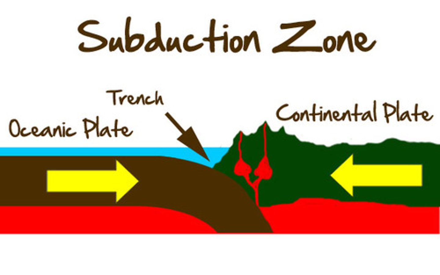 <p>denser oceanic plate is forced down into mantle and destroyed, often creates volcanoes and ocean trenches</p>
