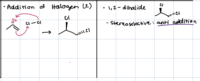 <p>both enantiomers</p>